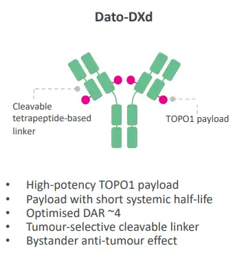 TROP2 ADC for Breast Cancer Succeeded In Phase III Clinical Trials