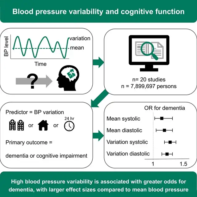 Abnormal Blood Pressure Fluctuations Increase the Risk of Dementia in Older Adults