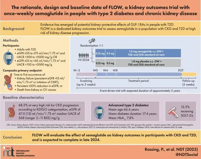 Why were Semaglutide Trials for Kidney Disease Early Terminated?