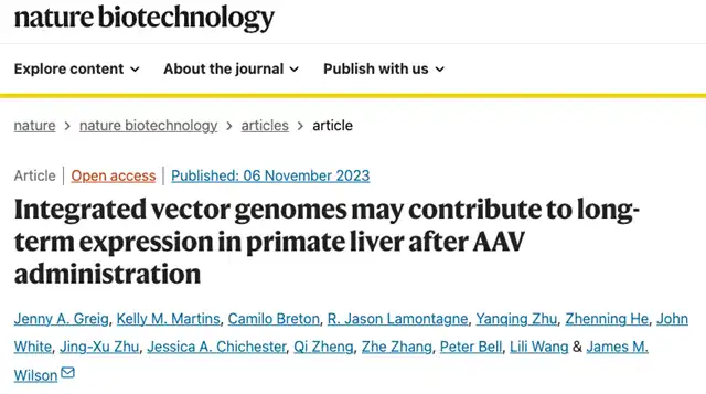 AAV Gene Therapy: Integration Yields Long-Term Expression without Cancer Risk