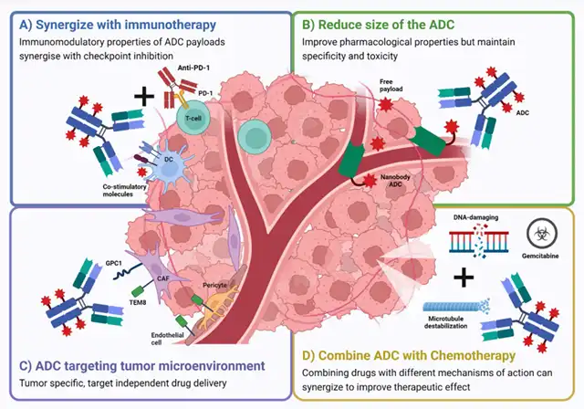 Pancreatic Cancer ADC: Opportunity or Challenge?