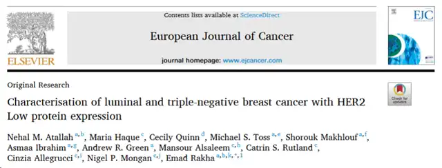 Characteristics of HER2 Low Protein Expression in Luminal and Triple-Negative Breast Cancer