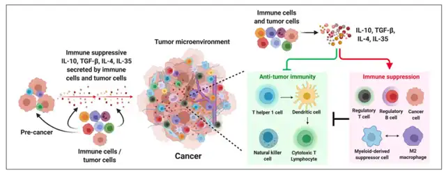 Decoding the Impact of Immune Inhibitory Cytokines in Tumor Immunotherapy