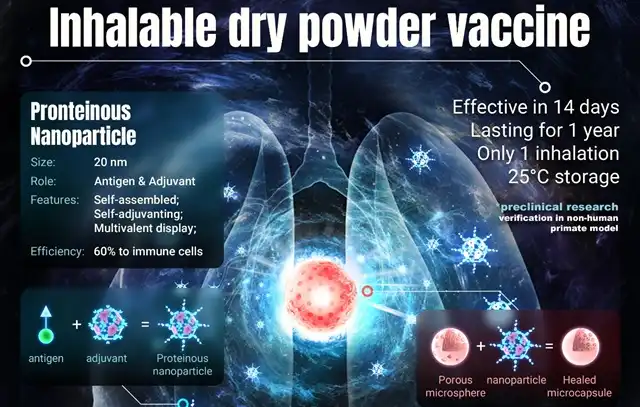 Inhalable Dry Powder Vaccine as an Alternative to Arm Injections