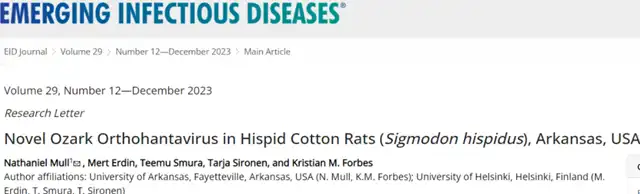 New Rodent-Borne Virus Discovered in Multiple US Regions, Human Infection Linked to Fatal Cardio-Pulmonary Disease!
