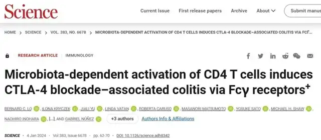 Immune Therapy-Induced Colitis: Deleting Fc Segment Emerges as a Solution