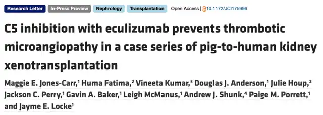 Breakthrough in Safe Pig-to-Human Organ Transplants: Optimal Immune Suppression Identified