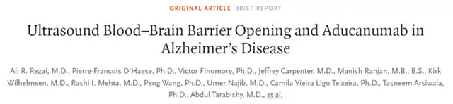 Advancing Alzheimer's Treatment Through the Blood-Brain Barrier