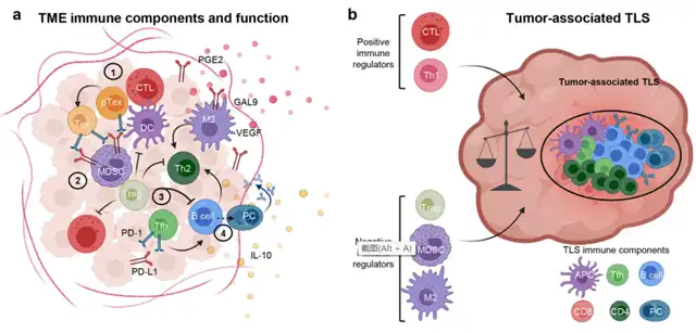Breakthroughs in Immunotherapy for Melanoma: Checkpoint Blockade and Beyond