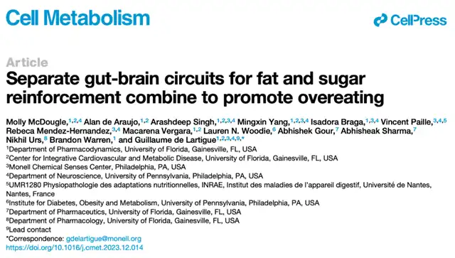 Why Do People Love Unhealthy Junk Food? Sugar and Fat Activate Gut-Brain Circuits Triggering Binge Eating...
