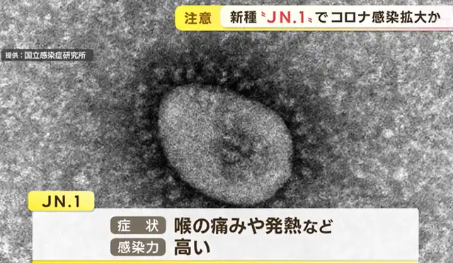 Japan: COVID-19 JN.1 Infections Caused Class Closures in Hokkaido