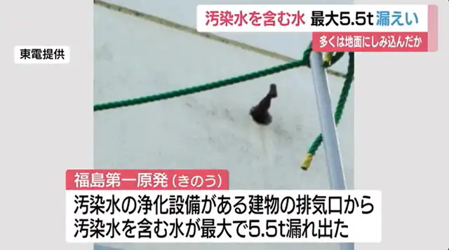 About 5.5 Tons Fukushima Nuclear Sewage Leaked: Containing 22 Billion Becquerels of Cesium