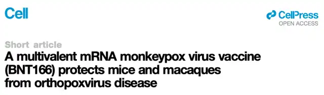 BioNTech's mRNA Monkeypox Vaccine Shows Excellent Preclinical Data