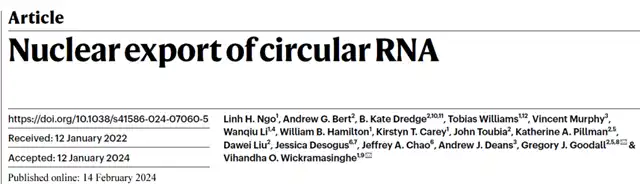 What is Mechanism of Circular RNA Nuclear Export?