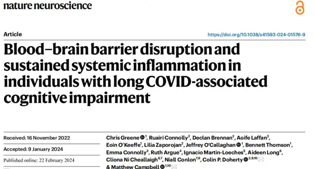  Long COVID Brain Fog: Blood-Brain Barrier Damage and Persistent Inflammation