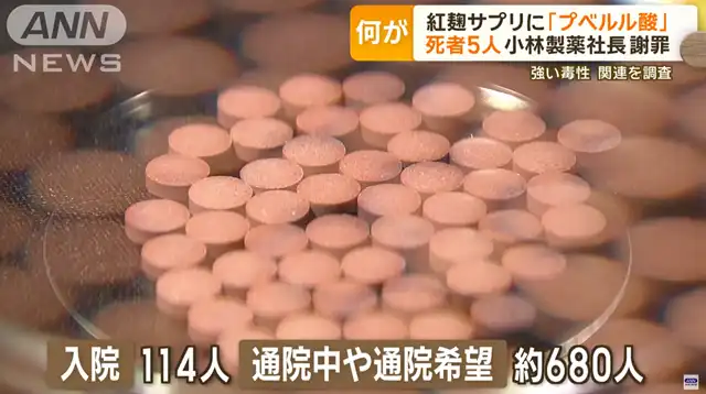 Red Yeast Rice Scare Grips Japan: Over 114 Hospitalized and 5 Deaths