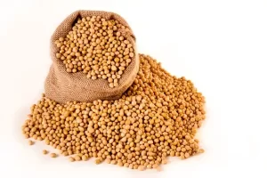Engineered Soybeans with Pig Protein: A Promising Alternative or Pandora's Dish?